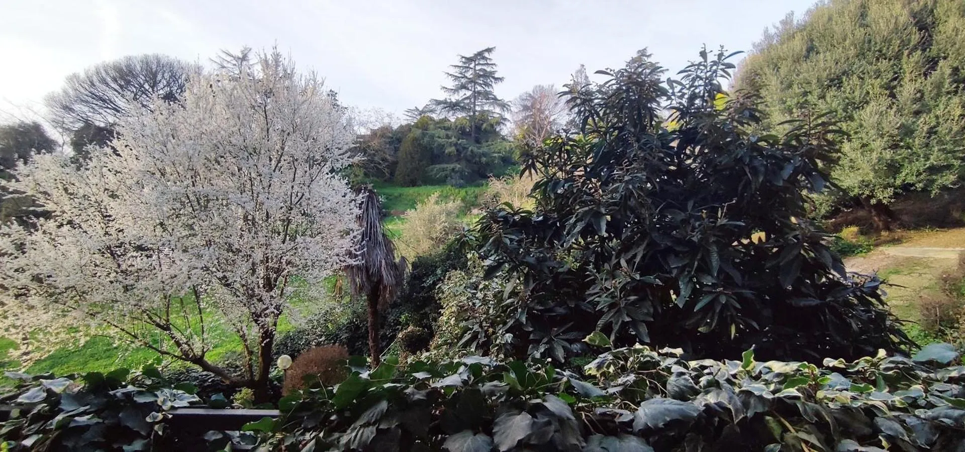Appartamento Roma Aurelia 1100 Near Vaticano Up To 6 Guests